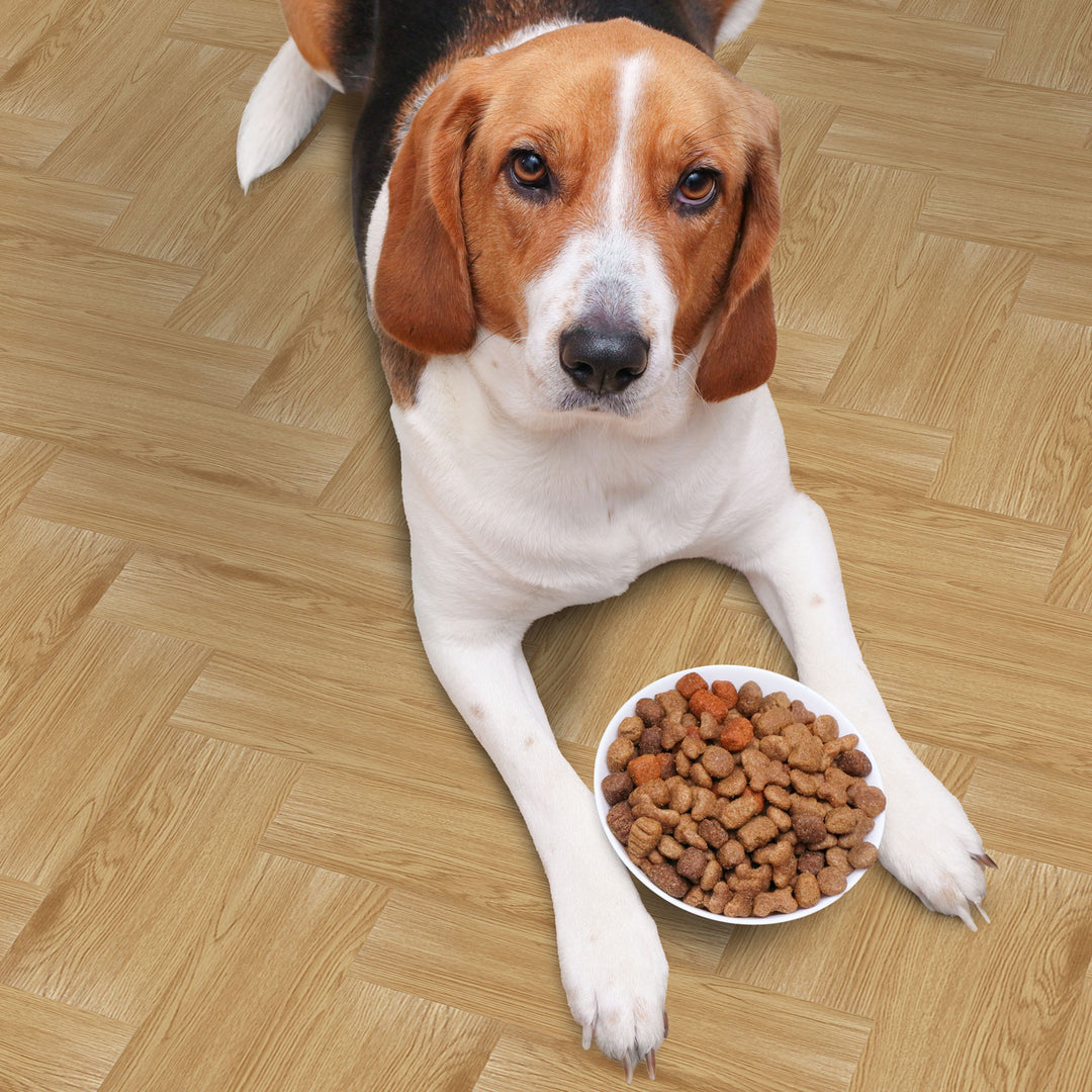 Pet-Friendly Products