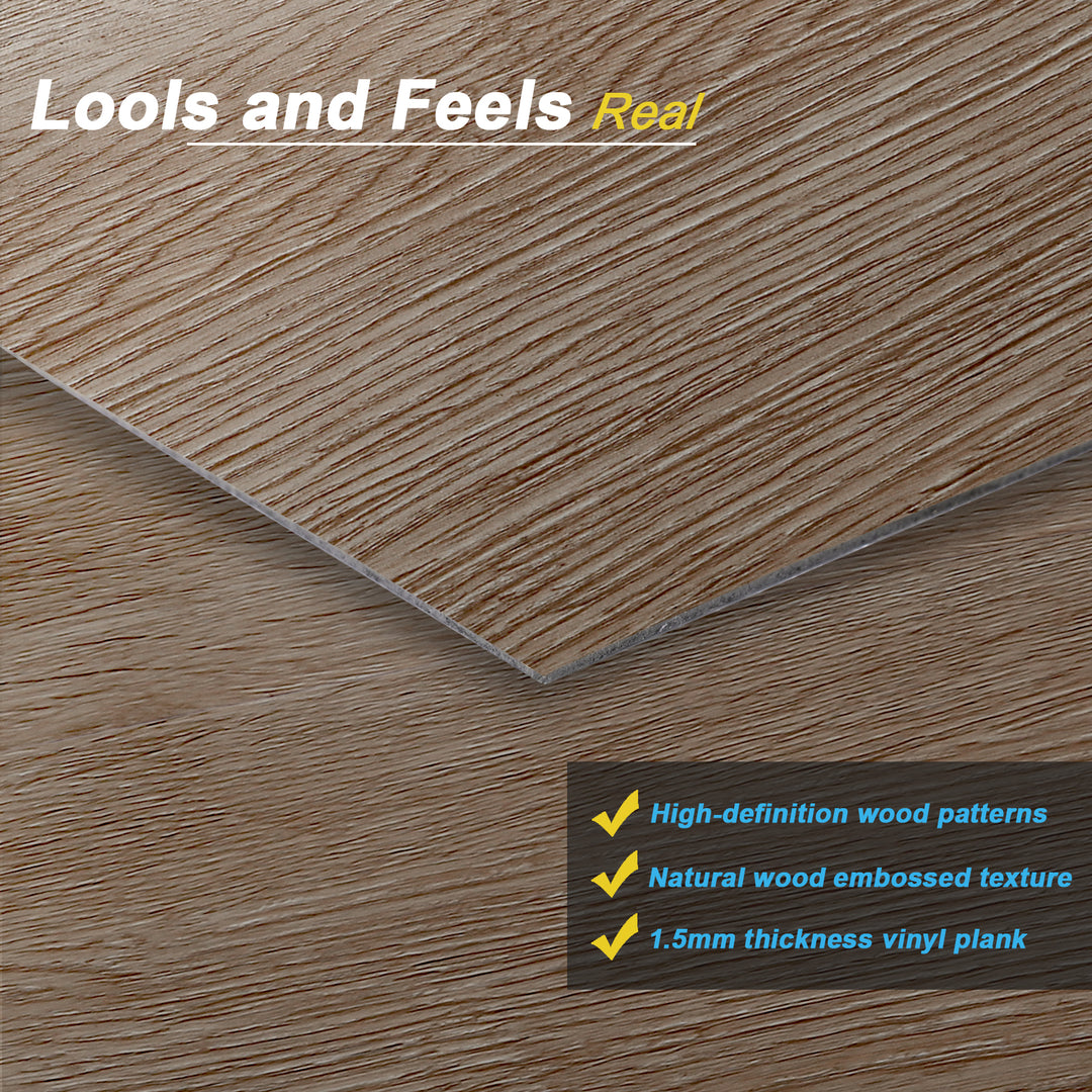 Sharp, high-resolution photograph