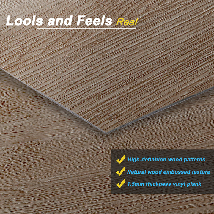 Sharp, high-resolution photograph