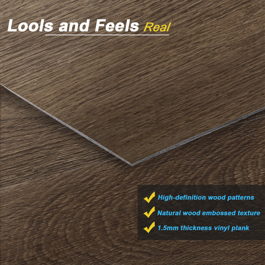 Sharp, high-resolution photograph