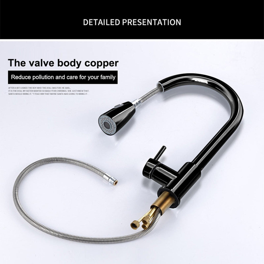 Kitchen Sink Faucet with Pull Down Sprayer