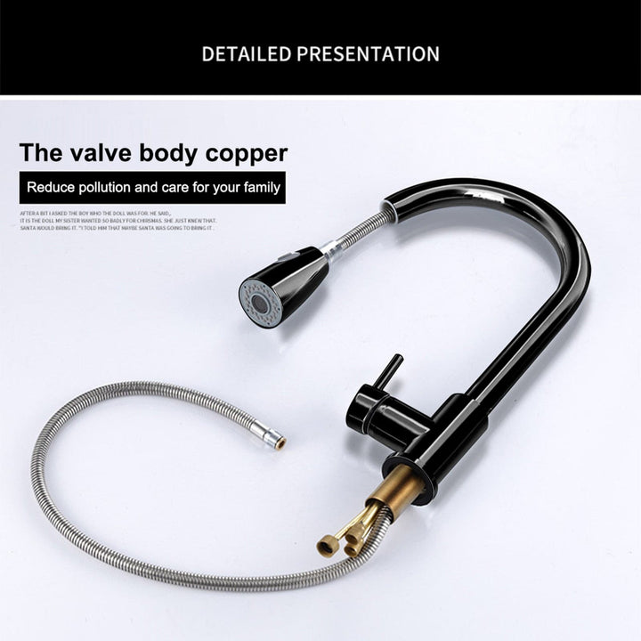 Kitchen Sink Faucet with Pull Down Sprayer