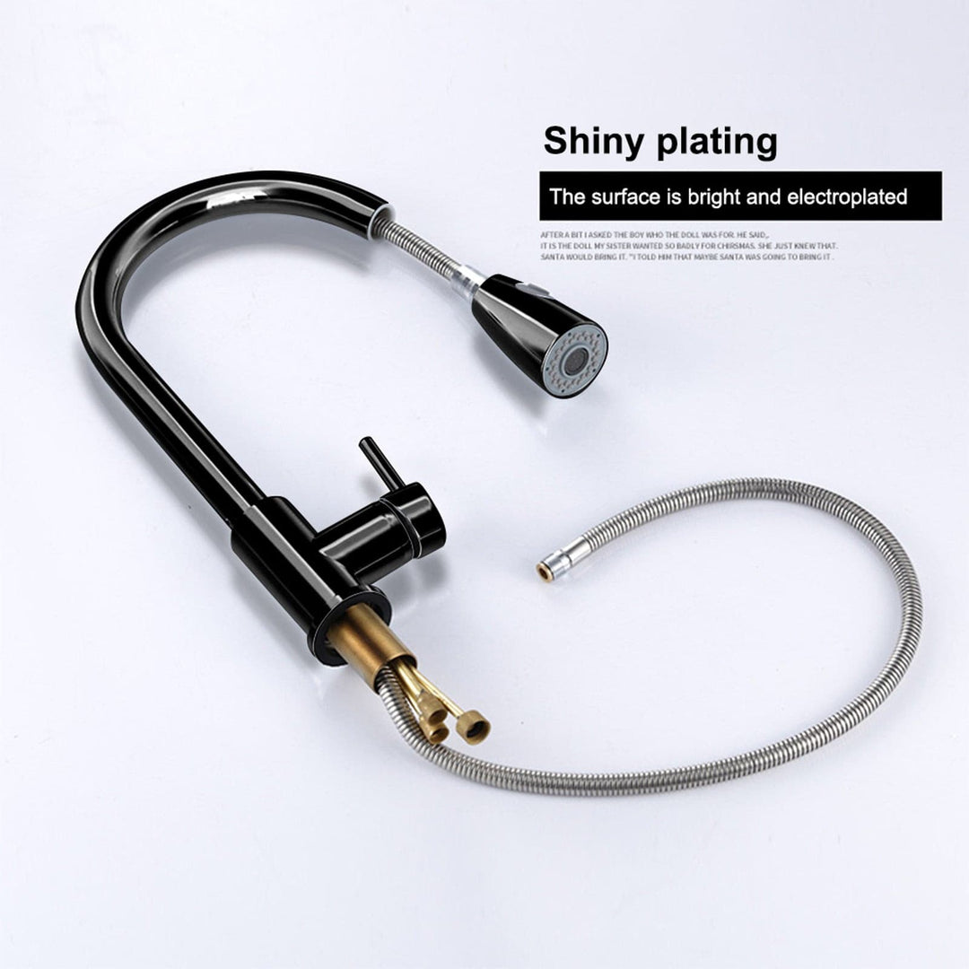 Kitchen Sink Faucet with Pull Down Sprayer