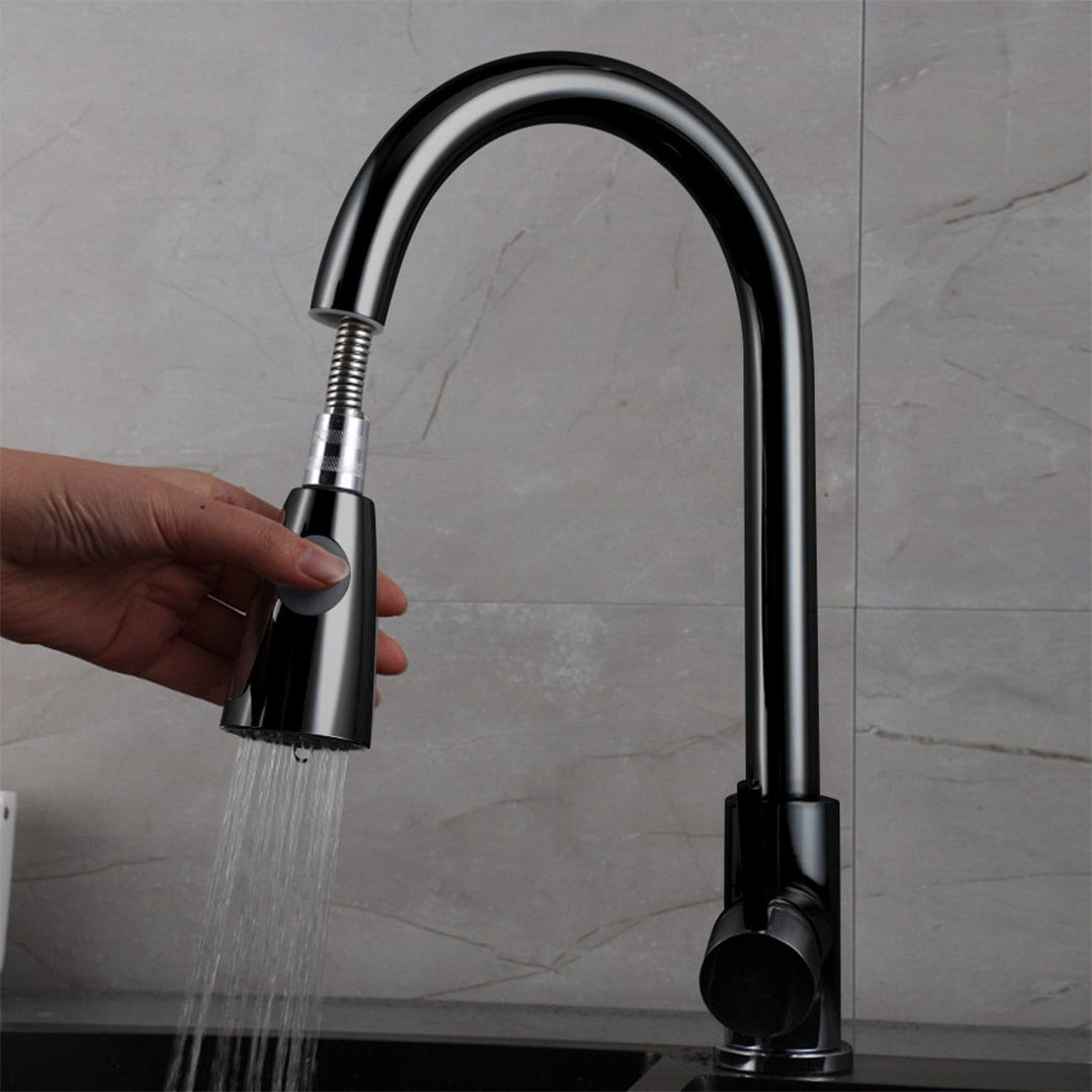 Kitchen Sink Faucet with Pull Down Sprayer
